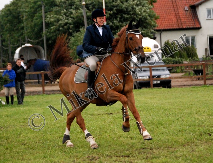 Image 141 of 182  -  130 kB